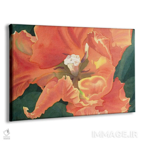 تابلو لالهٔ طوطی شعلهور اثر دیانا میلر-پیرس - نمای پرسپکتیو محصول