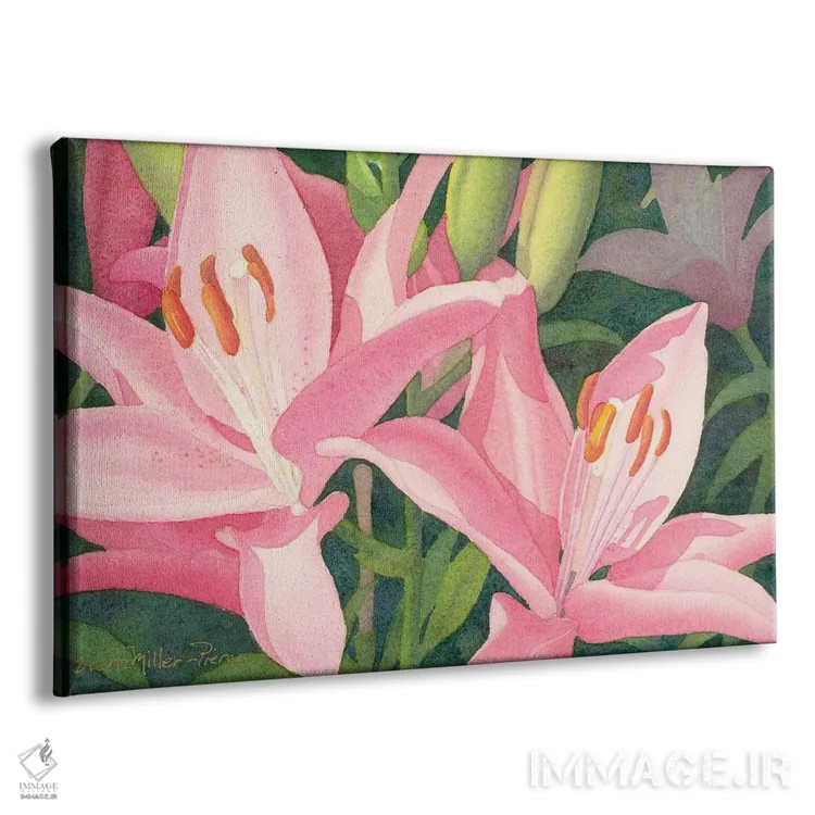 تابلو دوئت صورتی - گل لیلی اثر دیانا میلر-پیرس - نمای پرسپکتیو محصول