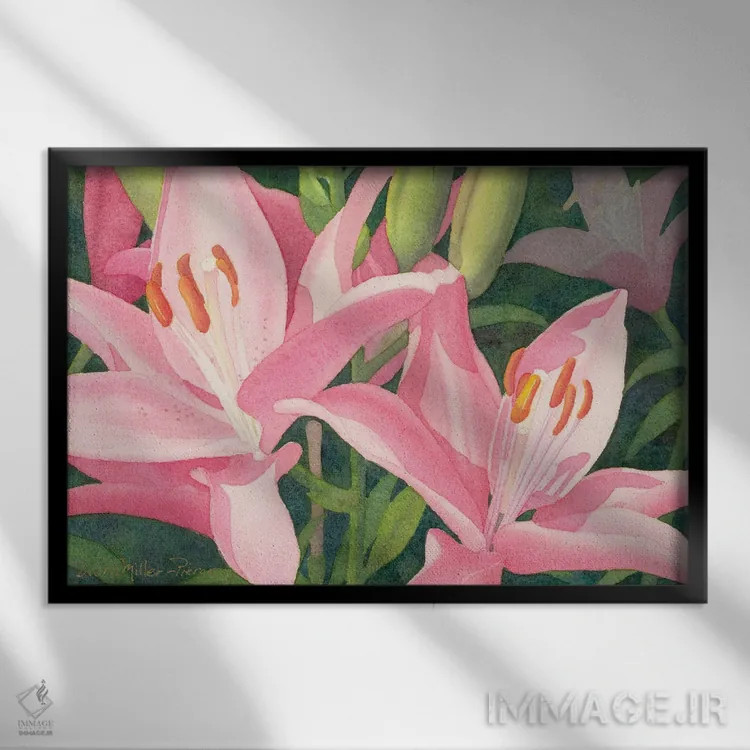 تابلو دوئت صورتی - گل لیلی اثر دیانا میلر-پیرس - نمای قابدار مشکی