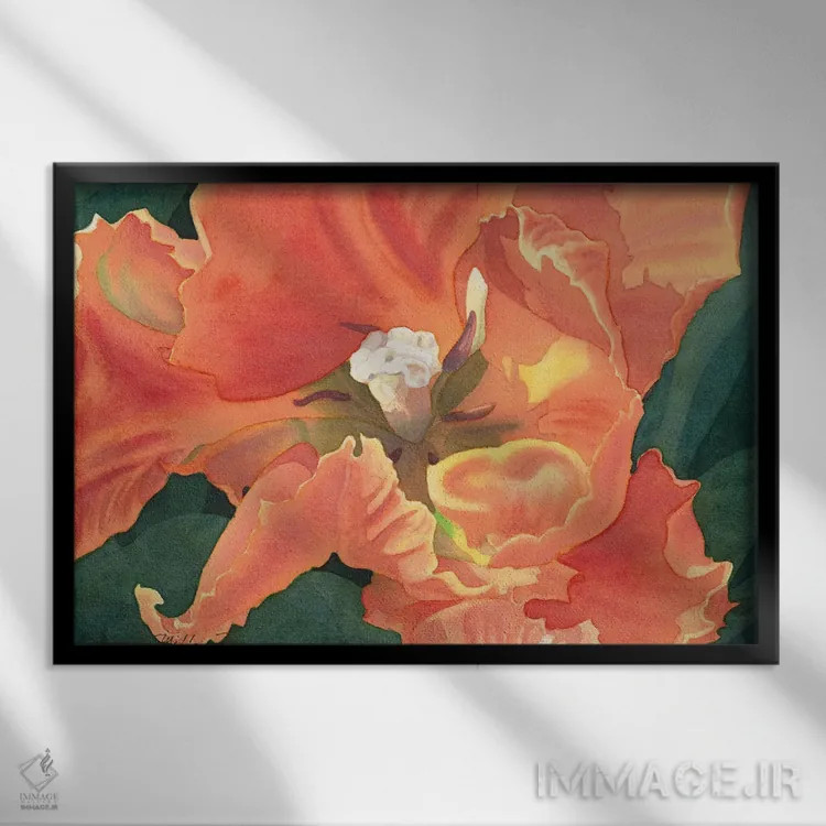 تابلو لالهٔ طوطی شعلهور اثر دیانا میلر-پیرس - نمای قابدار مشکی