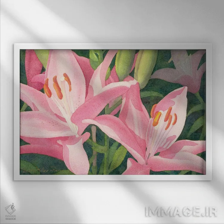 تابلو دوئت صورتی - گل لیلی اثر دیانا میلر-پیرس - نمای قابدار سفید