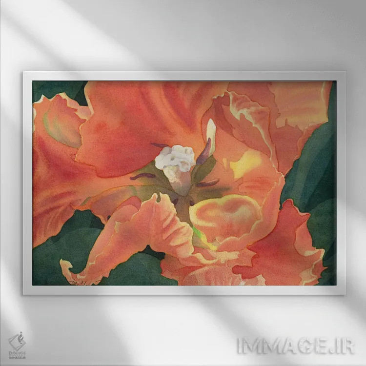 تابلو لالهٔ طوطی شعلهور اثر دیانا میلر-پیرس - نمای قابدار سفید