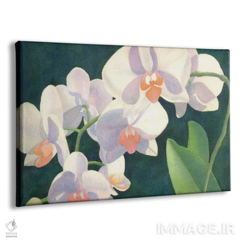 تابلو مدیتیشن در سپیدی اثر دیانا میلر-پیرس - نمای پرسپکتیو محصول