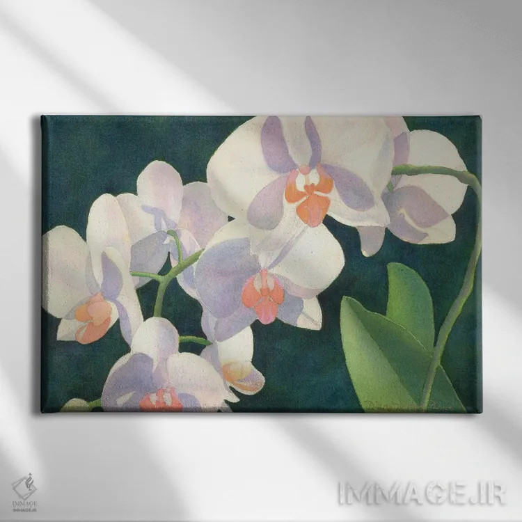 تابلو مدیتیشن در سپیدی اثر دیانا میلر-پیرس - نمای روبهرو روی دیوار