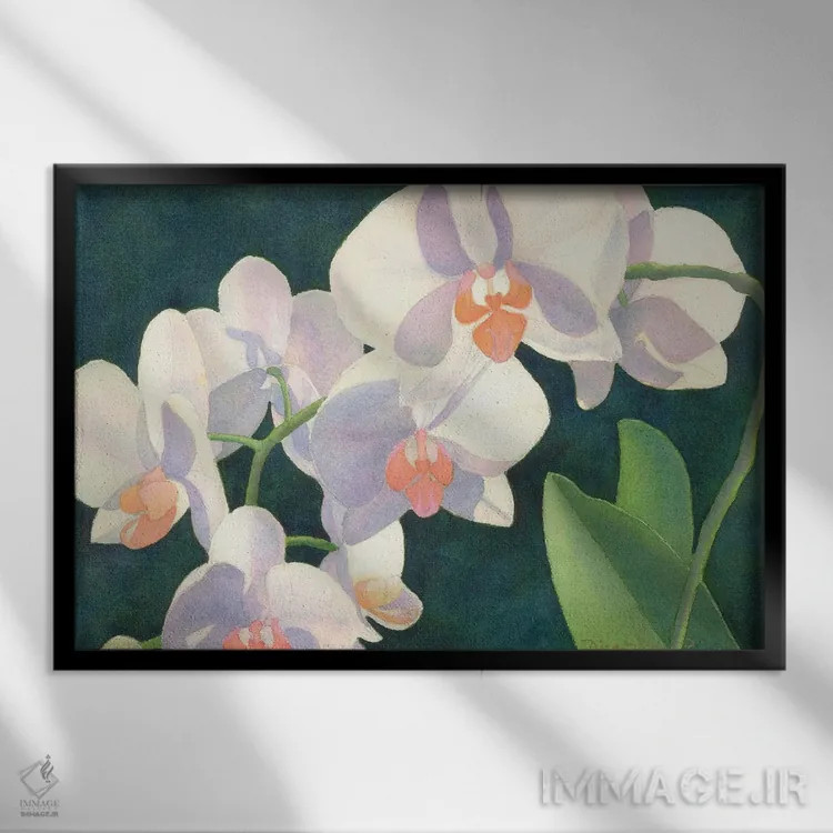 تابلو مدیتیشن در سپیدی اثر دیانا میلر-پیرس - نمای قابدار مشکی