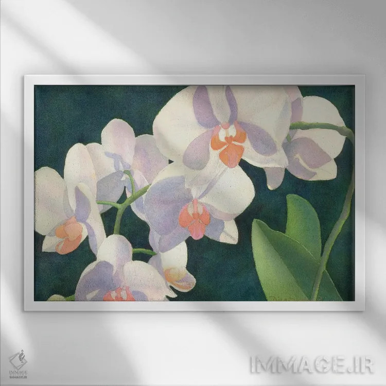 تابلو مدیتیشن در سپیدی اثر دیانا میلر-پیرس - نمای قابدار سفید