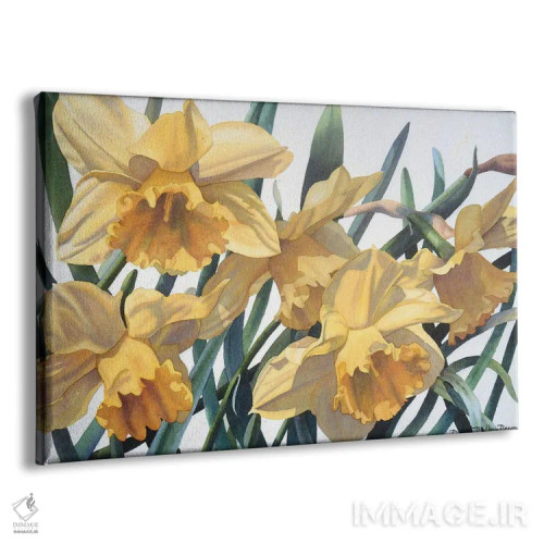 تابلو شور بهاری - نرگس وحشی اثر دیانا میلر-پیرس - نمای پرسپکتیو محصول