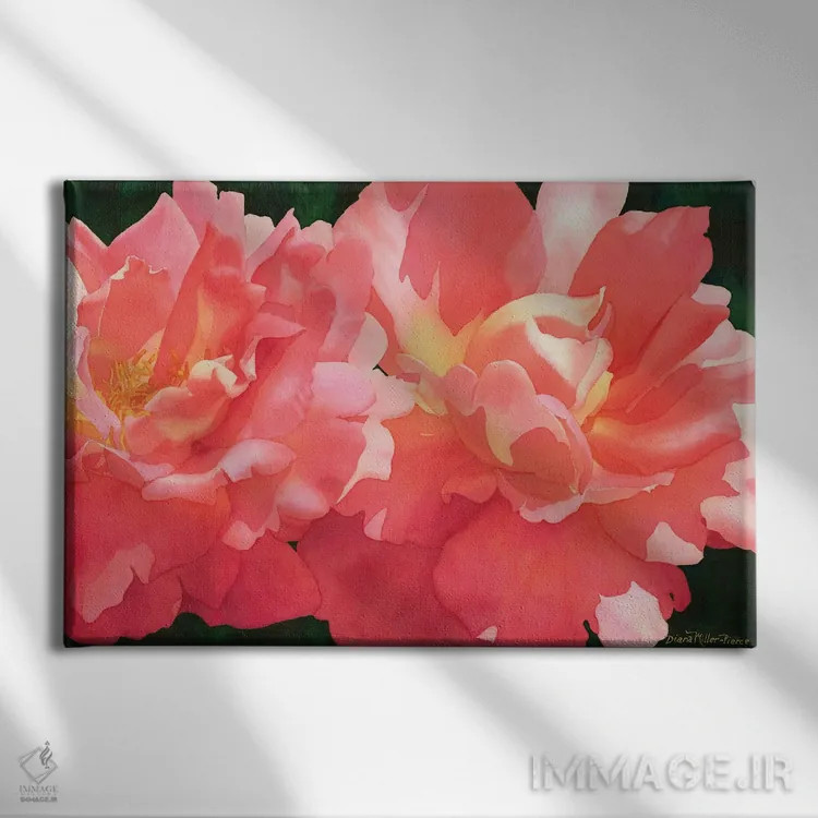 تابلو رز اثر دیانا میلر-پیرس - نمای روبهرو روی دیوار