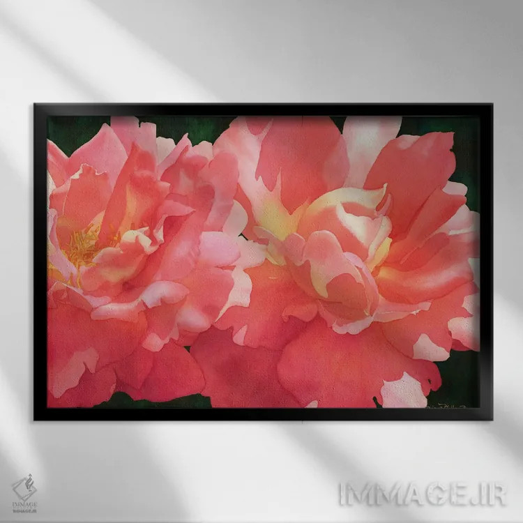 تابلو رز اثر دیانا میلر-پیرس - نمای قابدار مشکی