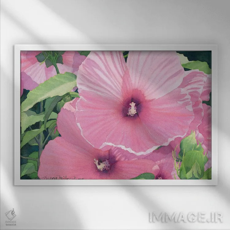 تابلو سوناتای صورتی اثر دیانا میلر-پیرس - نمای قابدار سفید