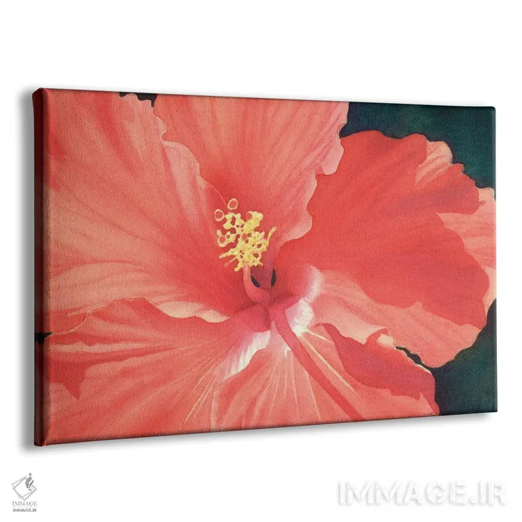 تابلو شور سرخرنگ اثر دیانا میلر-پیرس - نمای پرسپکتیو محصول