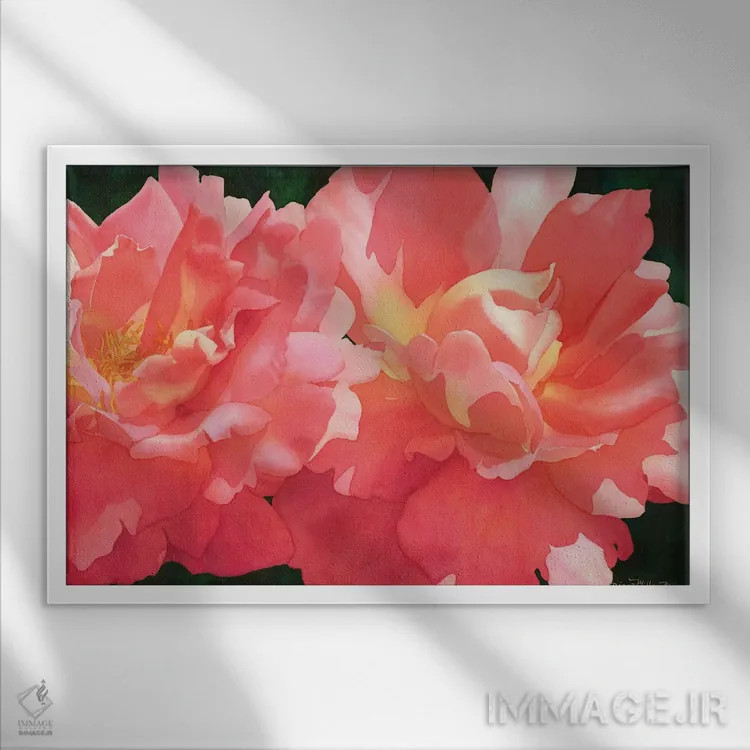 تابلو رز اثر دیانا میلر-پیرس - نمای قابدار سفید