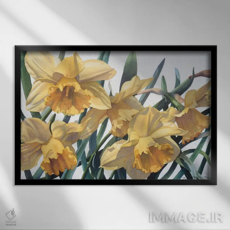 تابلو شور بهاری - نرگس وحشی اثر دیانا میلر-پیرس - نمای قابدار مشکی