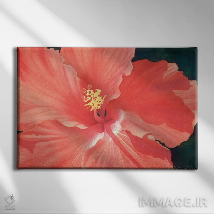 تابلو شور سرخرنگ اثر دیانا میلر-پیرس - نمای روبهرو روی دیوار