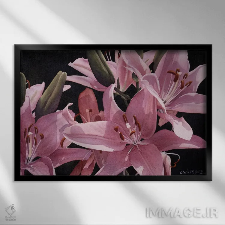 تابلو شگفتی در صورتی اثر دیانا میلر-پیرس - نمای قابدار مشکی