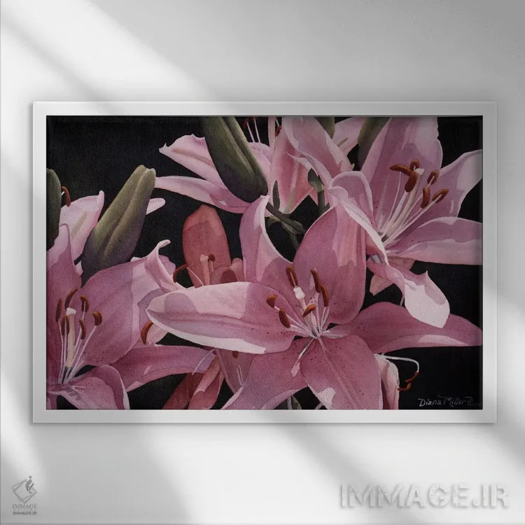 تابلو شگفتی در صورتی اثر دیانا میلر-پیرس - نمای قابدار سفید