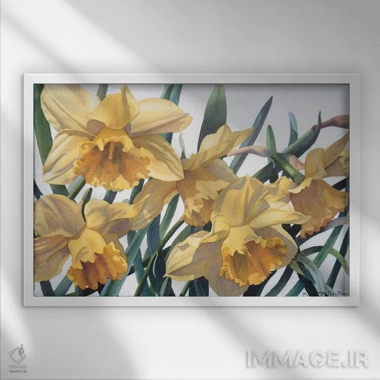تابلو شور بهاری - نرگس وحشی اثر دیانا میلر-پیرس - نمای قابدار سفید