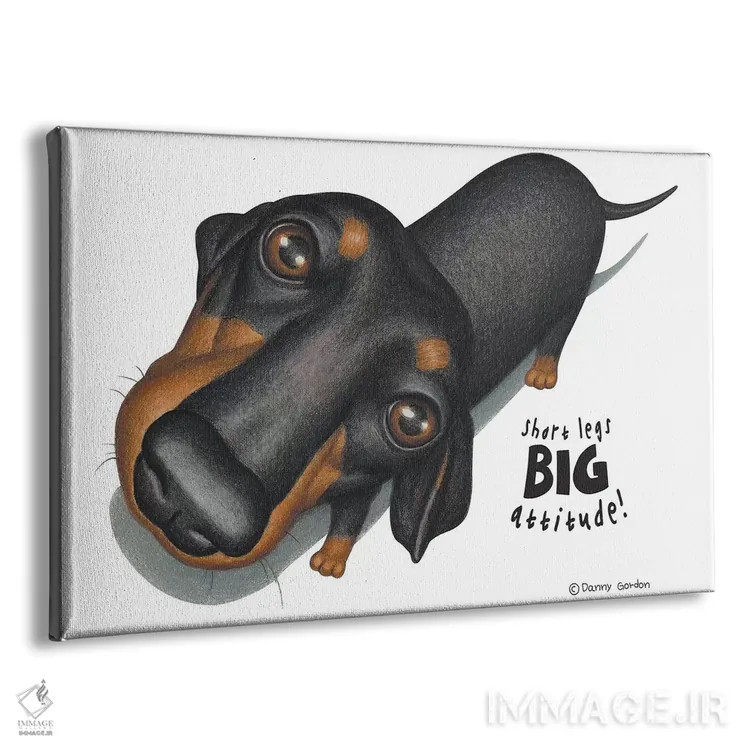 تابلو نمای بالا از داشهوند سیاه اثر دنی گوردون - نمای پرسپکتیو محصول