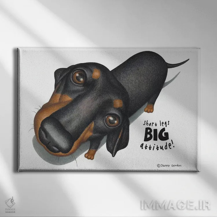 تابلو نمای بالا از داشهوند سیاه اثر دنی گوردون - نمای روبهرو روی دیوار