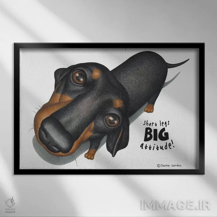 تابلو نمای بالا از داشهوند سیاه اثر دنی گوردون - نمای قابدار مشکی