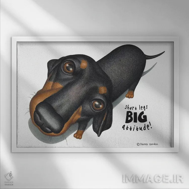 تابلو نمای بالا از داشهوند سیاه اثر دنی گوردون - نمای قابدار سفید