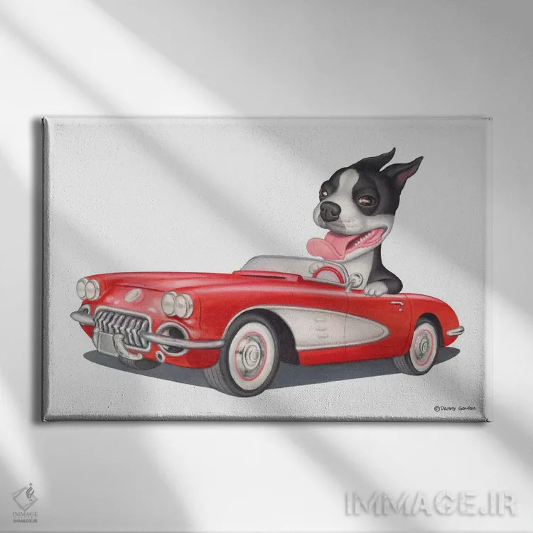 تابلو تریر بوستون با ماشین قرمز اثر دنی گوردون - نمای روبهرو روی دیوار