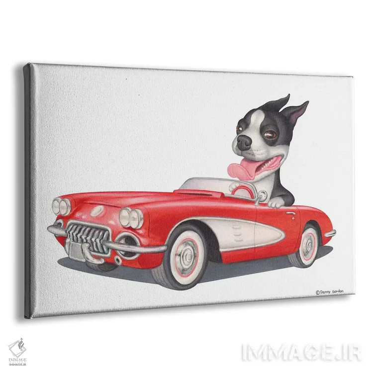 تابلو تریر بوستون با ماشین قرمز اثر دنی گوردون - نمای پرسپکتیو محصول