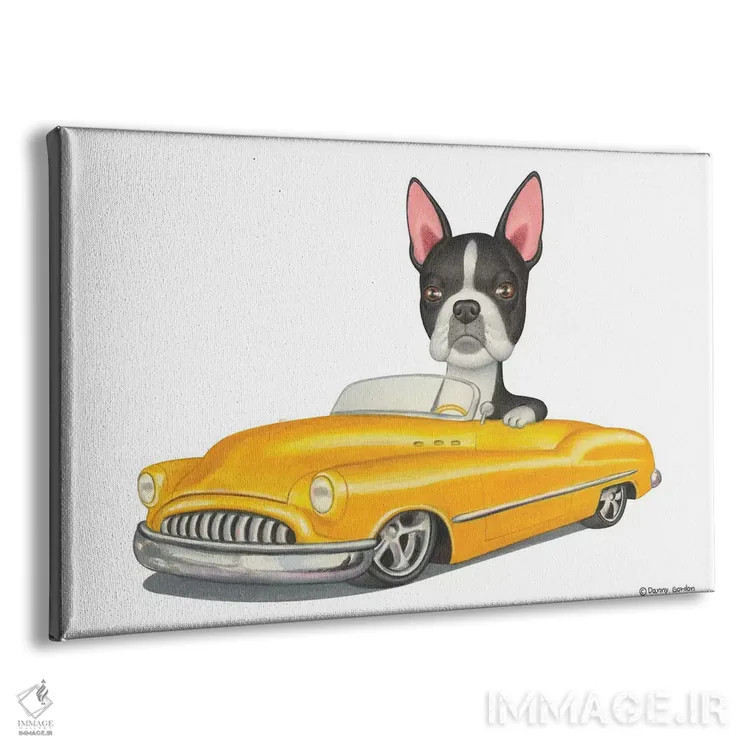 تابلو تریر بوستون با ماشین زرد اثر دنی گوردون - نمای پرسپکتیو محصول