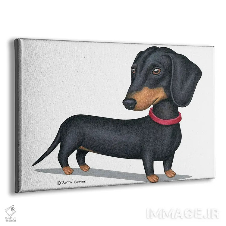 تابلو داشهوند سیاه با قلاده قرمز اثر دنی گوردون - نمای پرسپکتیو محصول