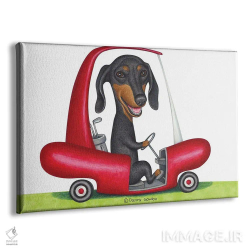 تابلو داشهوند سیاه در ماشین گلف اثر دنی گوردون - نمای پرسپکتیو محصول