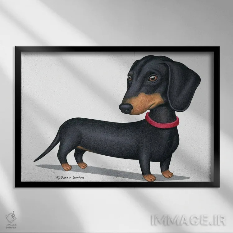 تابلو داشهوند سیاه با قلاده قرمز اثر دنی گوردون - نمای قابدار مشکی