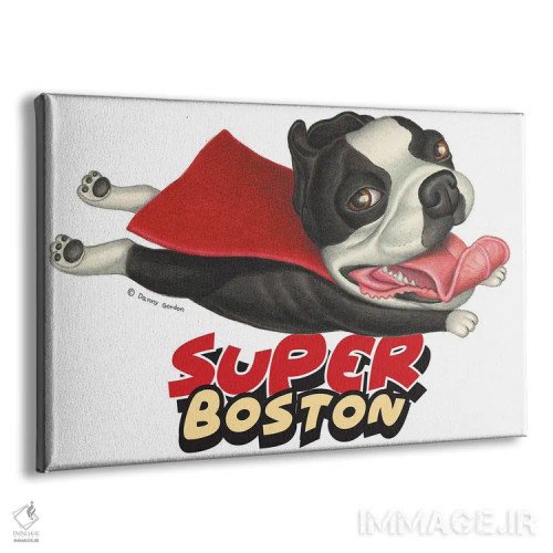 تابلو تریر بوستون پروازکنان با شنل قرمز اثر دنی گوردون - نمای پرسپکتیو محصول