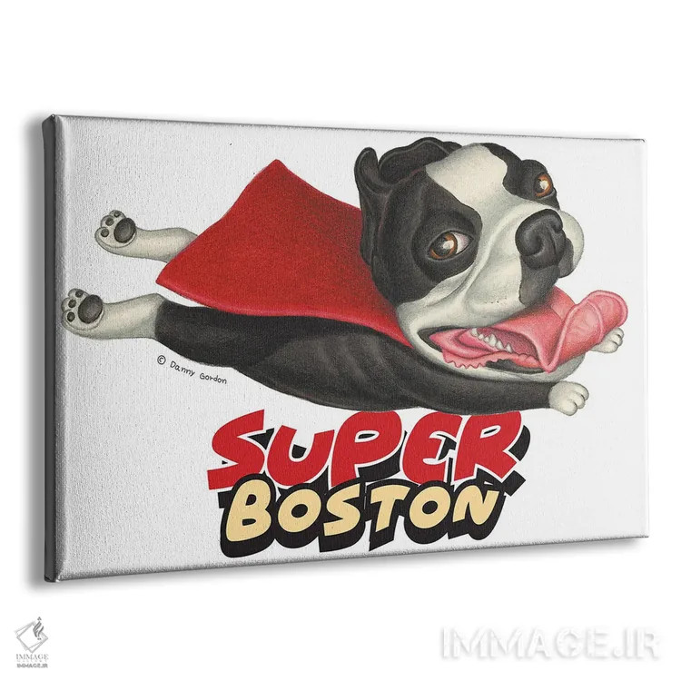 تابلو تریر بوستون پروازکنان با شنل قرمز اثر دنی گوردون - نمای پرسپکتیو محصول