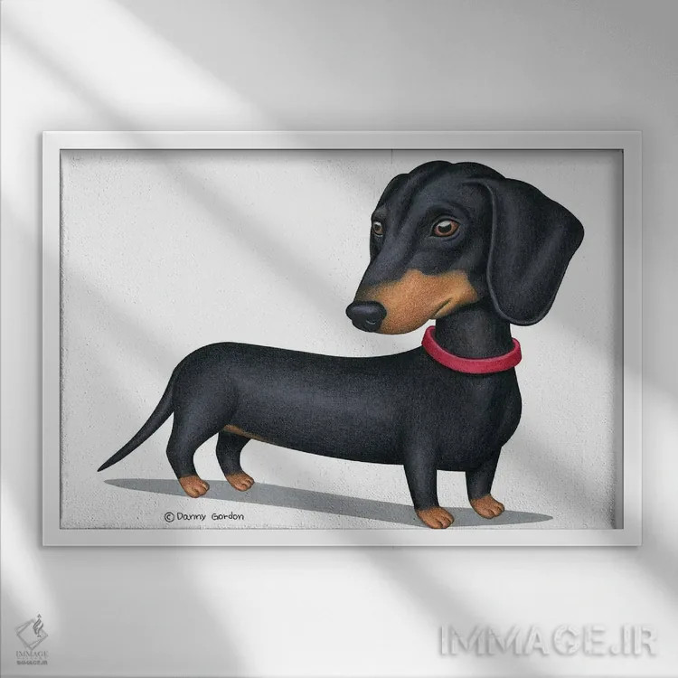 تابلو داشهوند سیاه با قلاده قرمز اثر دنی گوردون - نمای قابدار سفید