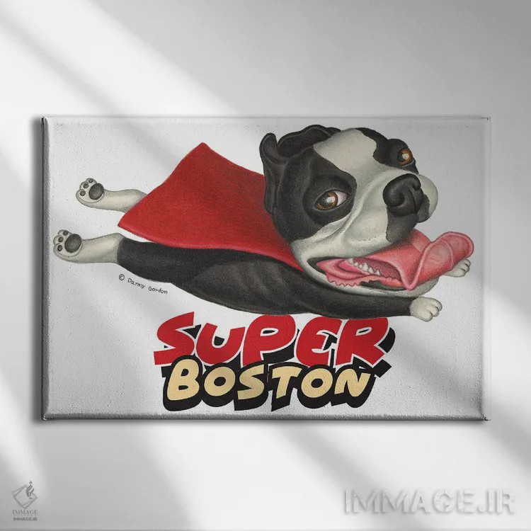 تابلو تریر بوستون پروازکنان با شنل قرمز اثر دنی گوردون - نمای روبهرو روی دیوار