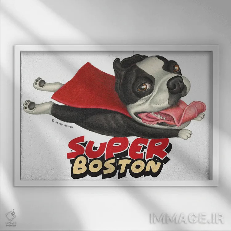 تابلو تریر بوستون پروازکنان با شنل قرمز اثر دنی گوردون - نمای قابدار سفید