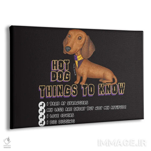 تابلو داشهوند نشسته با دستمال گردن اثر دنی گوردون - نمای پرسپکتیو محصول