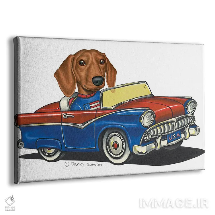تابلو داشهوند در ماشین آمریکایی III اثر دنی گوردون - نمای پرسپکتیو محصول