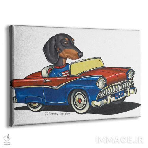تابلو داشهوند در ماشین آمریکایی I اثر دنی گوردون - نمای پرسپکتیو محصول