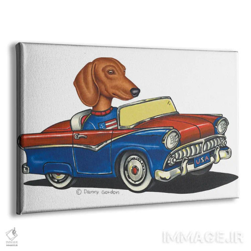 تابلو داشهوند در ماشین آمریکایی II اثر دنی گوردون - نمای پرسپکتیو محصول