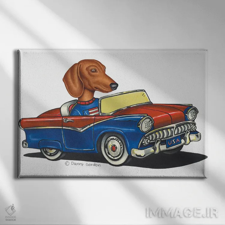 تابلو داشهوند در ماشین آمریکایی II اثر دنی گوردون - نمای روبهرو روی دیوار