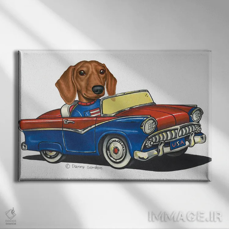 تابلو داشهوند در ماشین آمریکایی III اثر دنی گوردون - نمای روبهرو روی دیوار