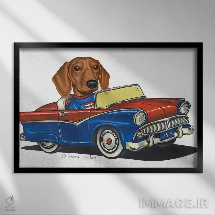 تابلو داشهوند در ماشین آمریکایی III اثر دنی گوردون - نمای قابدار مشکی