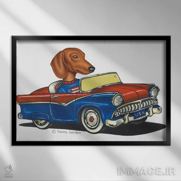 تابلو داشهوند در ماشین آمریکایی II اثر دنی گوردون - نمای قابدار مشکی