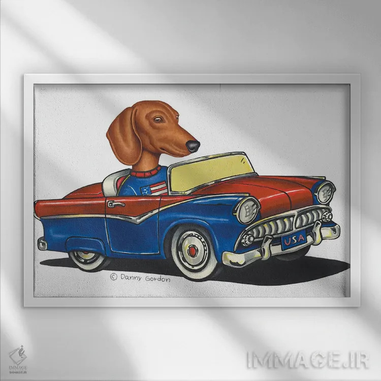 تابلو داشهوند در ماشین آمریکایی II اثر دنی گوردون - نمای قابدار سفید