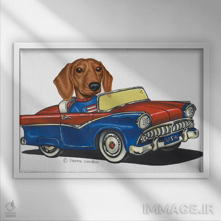 تابلو داشهوند در ماشین آمریکایی III اثر دنی گوردون - نمای قابدار سفید