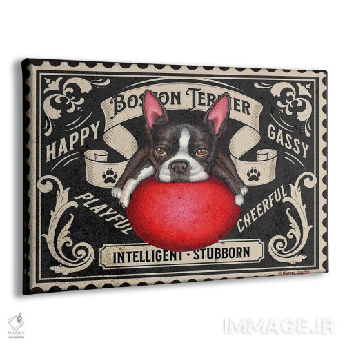 تابلو تمبر بوستون تریر با توپ قرمز اثر دنی گوردون - نمای پرسپکتیو محصول