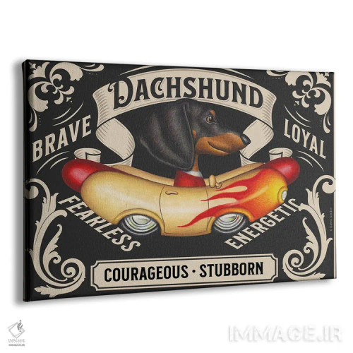 تابلو تمبر افقی داشهوند مشکی در خودروی سوسیسی شعلهدار اثر دنی گوردون - نمای پرسپکتیو محصول