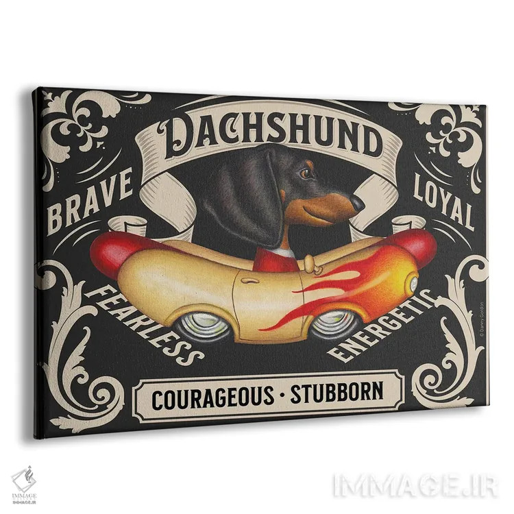 تابلو تمبر افقی داشهوند مشکی در خودروی سوسیسی شعلهدار اثر دنی گوردون - نمای پرسپکتیو محصول