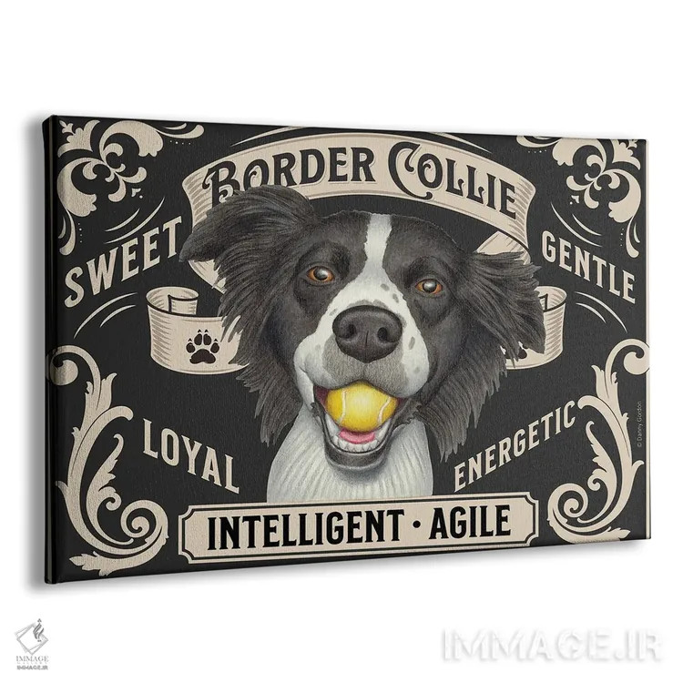 تابلو تمبر افقی بردر کولی با توپ در دهان اثر دنی گوردون - نمای پرسپکتیو محصول